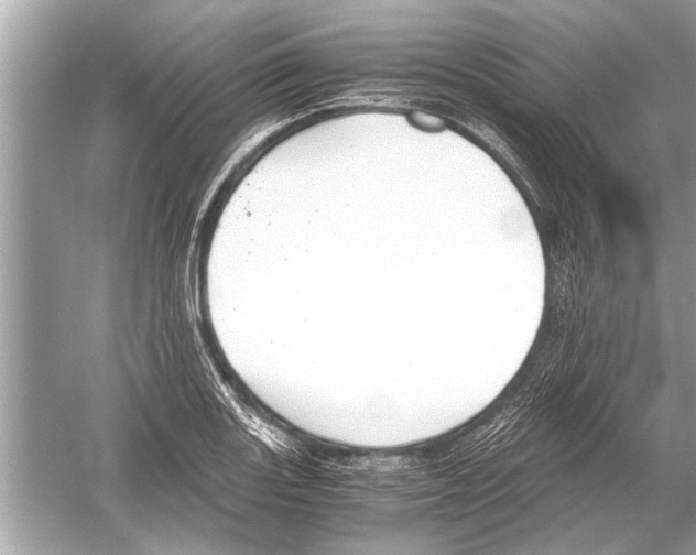 X0000051911131200507222101