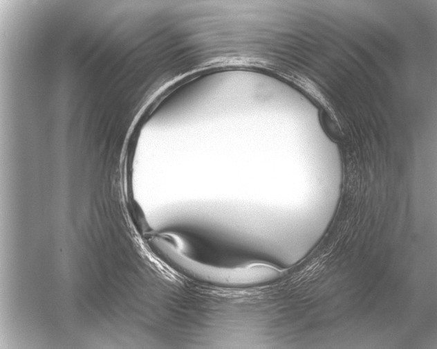 X0000051911132200507222101