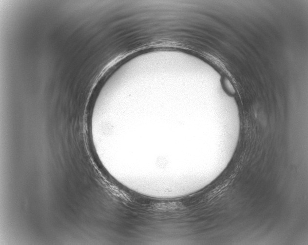 X0000051911133200507222101