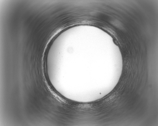 X0000051911135200507222101