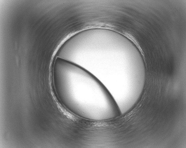 X0000051911136200507222101