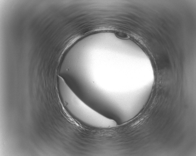 X0000051911137200507222101