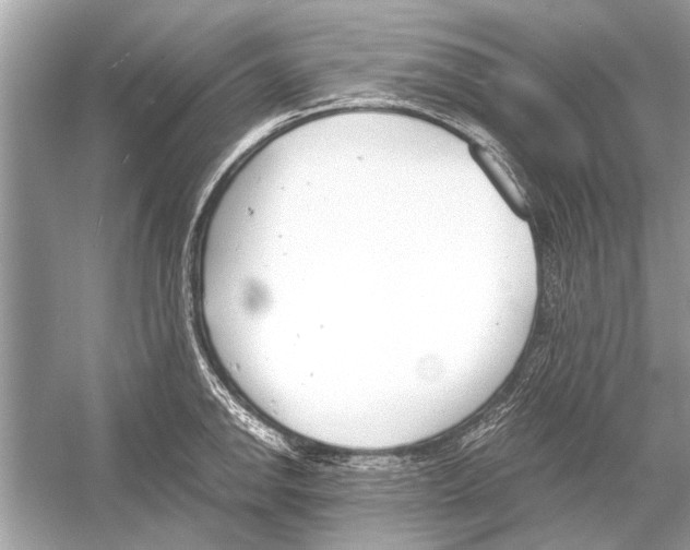 X0000051911142200507222101