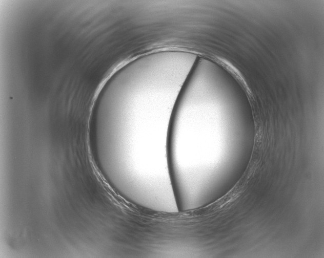 X0000051911146200507222101