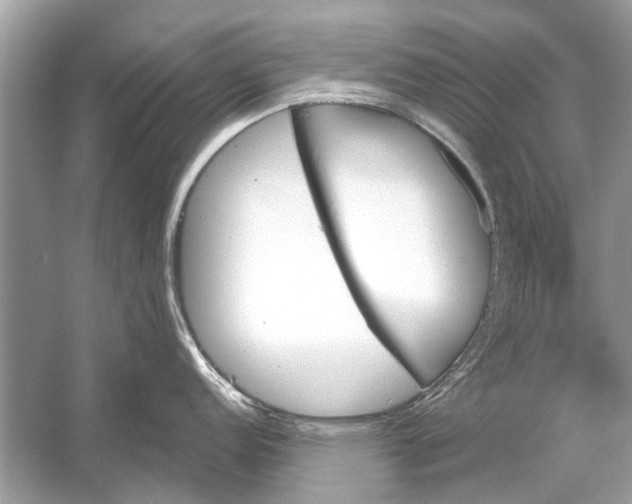 X0000051911152200507222101