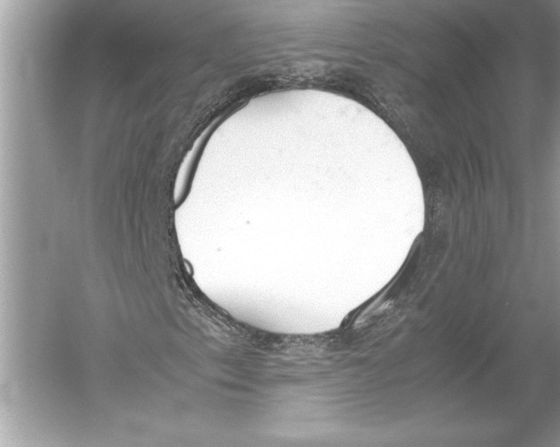 X0000051911153200507222101