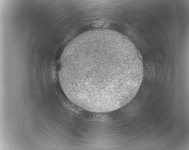 X0000051911154200507222101