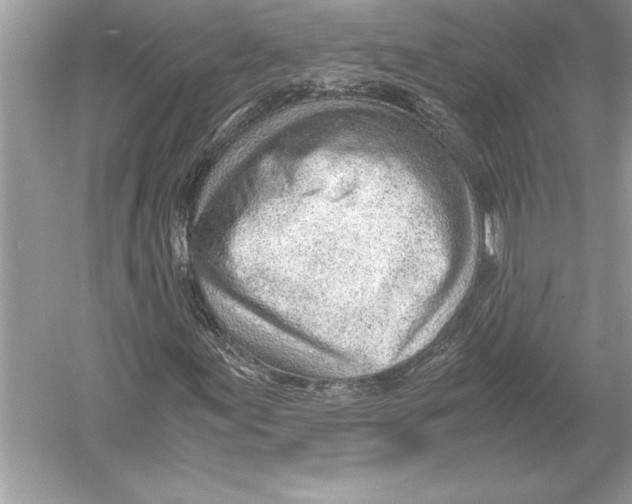 X0000051911155200507222101