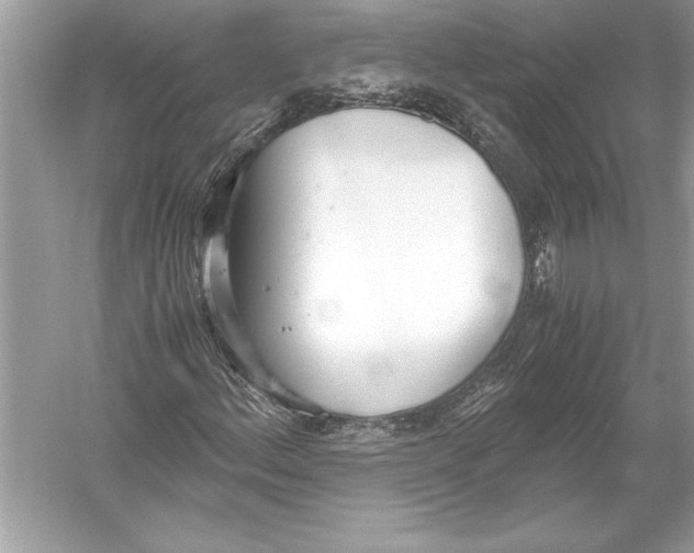 X0000051911156200507222101