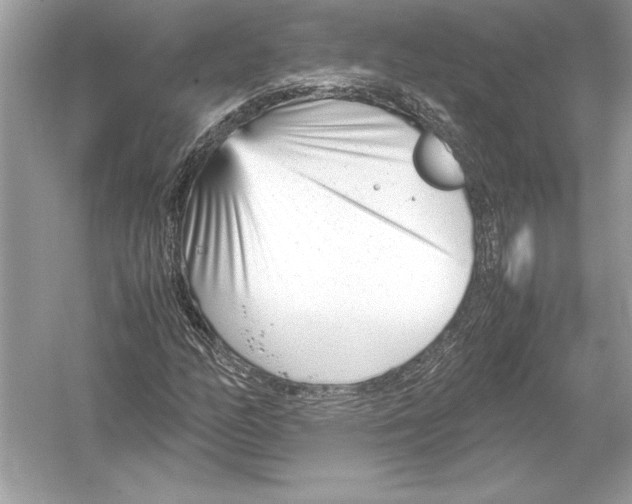 X0000051911158200507222100