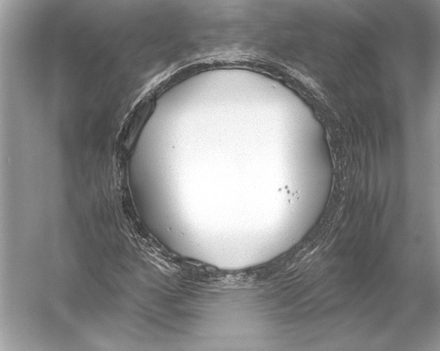 X0000051911160200507222100