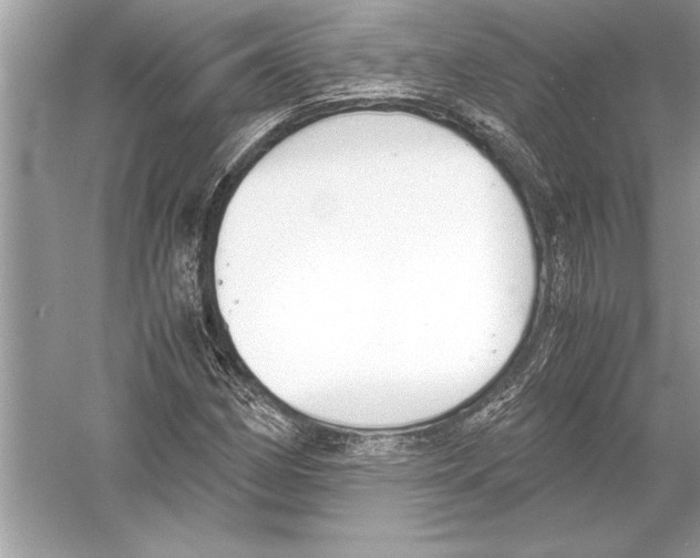 X0000051911162200507222100