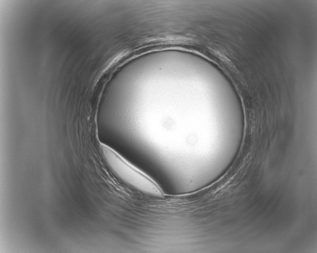 X0000051911163200507222100