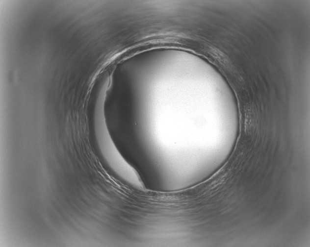 X0000051911164200507222100