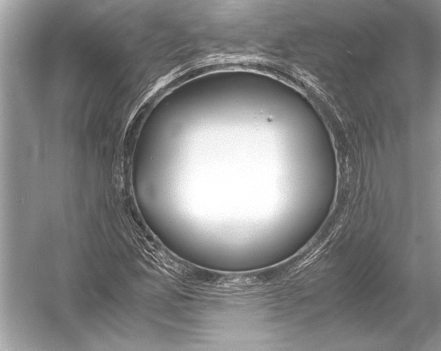 X0000051911165200507222100