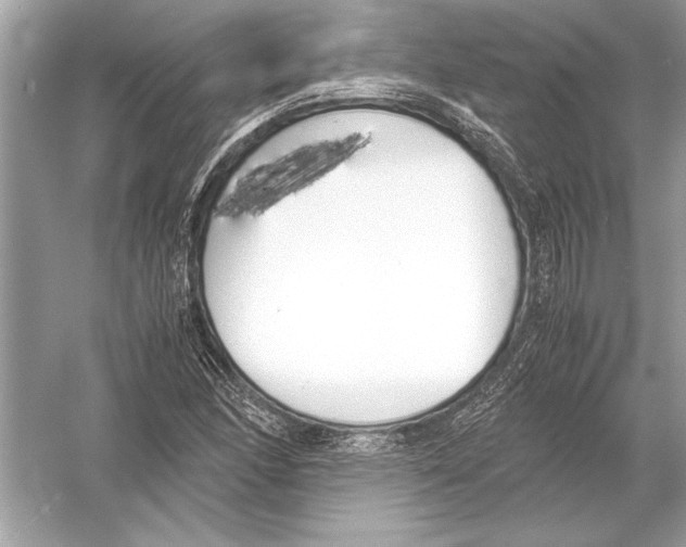 X0000051911166200507222100