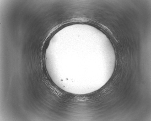 X0000051911168200507222100