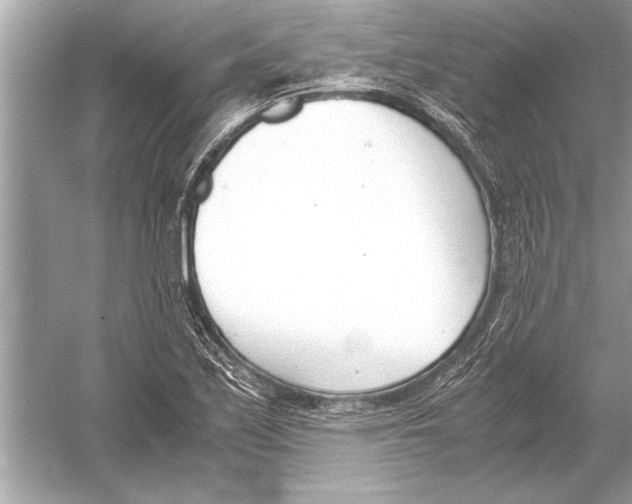 X0000051911171200507222100