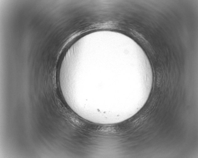 X0000051911174200507222100