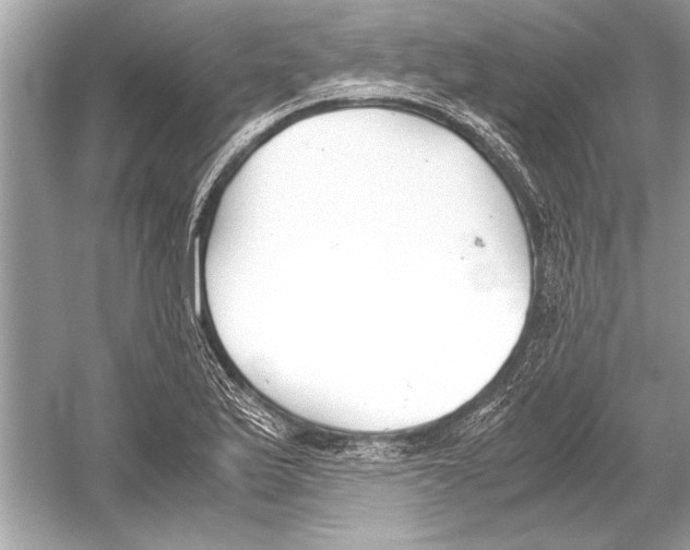 X0000051911175200507222100