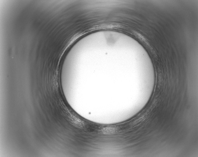 X0000051911178200507222100