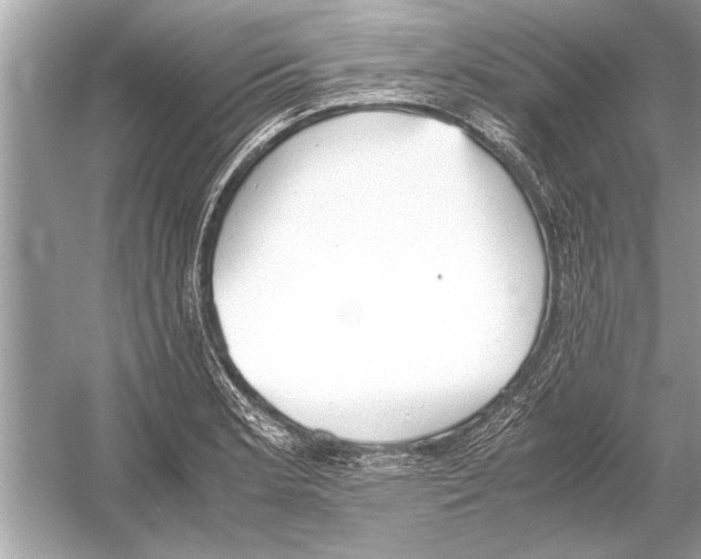 X0000051911181200507222100