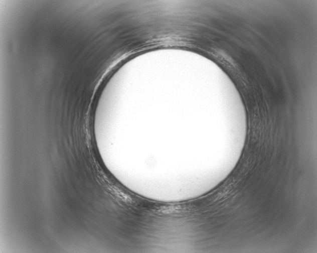 X0000051911182200507222100