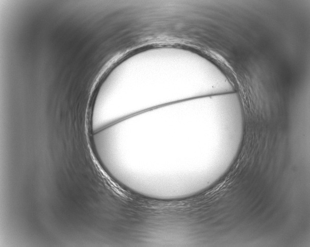 X0000051911183200507222100