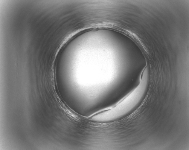 X0000051911184200507222100