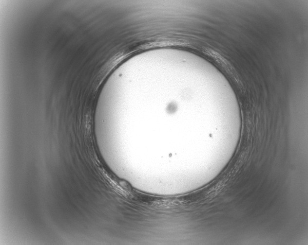 X0000051911185200507222100