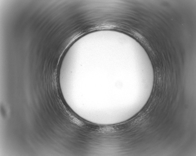 X0000051911186200507222100