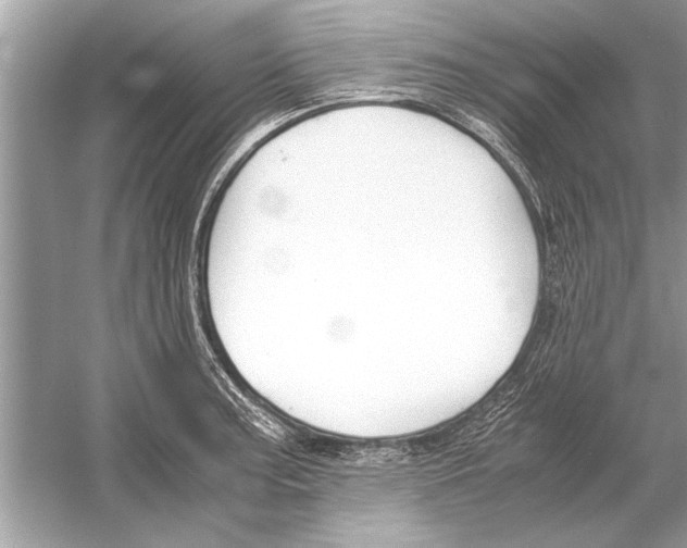 X0000051911187200507222100