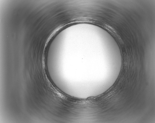 X0000051911188200507222100