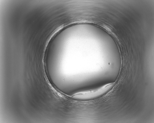 X0000051911189200507222100