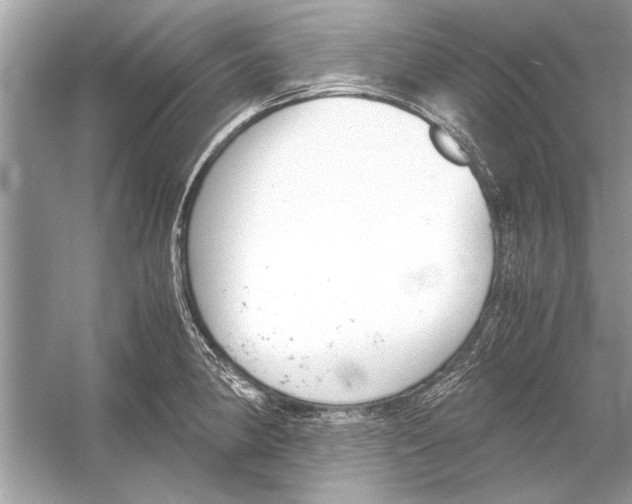 X0000051911190200507222100