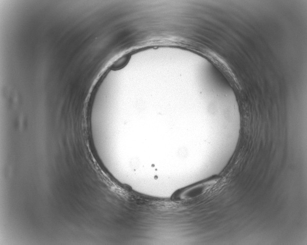 X0000051911192200507222100