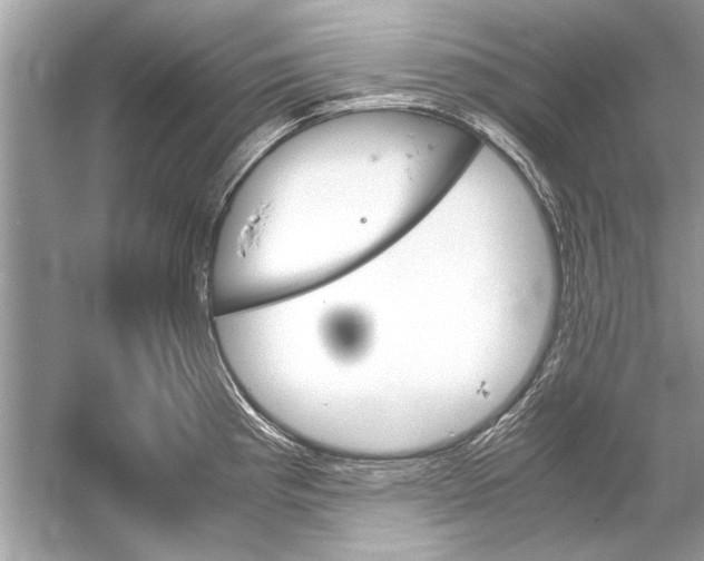 X0000051911193200507222100