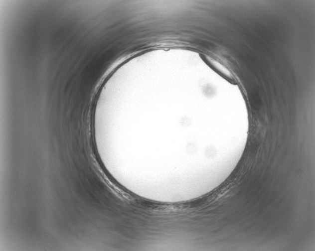 X0000051911195200507222100