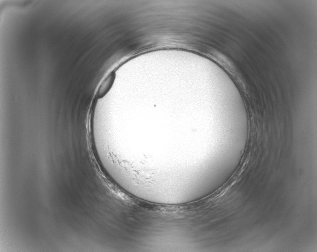 X0000051911198200507222100