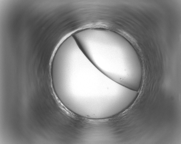 X0000051911200200507222100