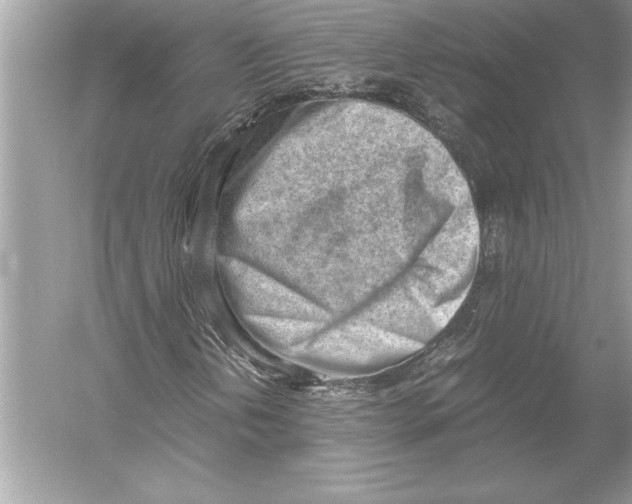 X0000051911202200507222059