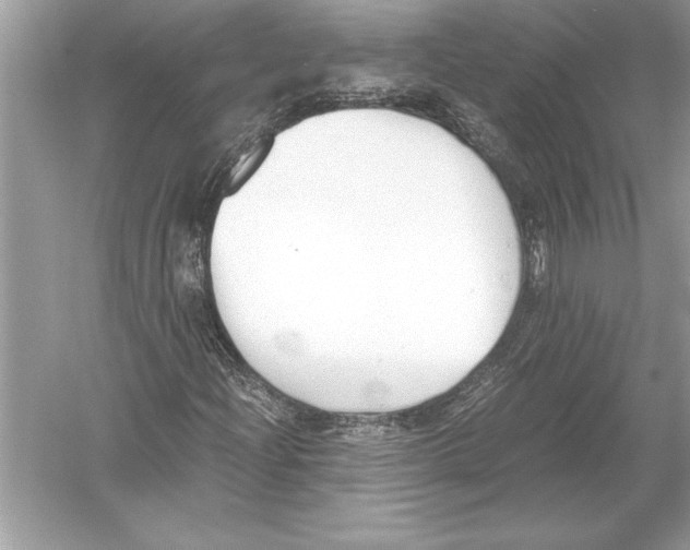 X0000051911204200507222059