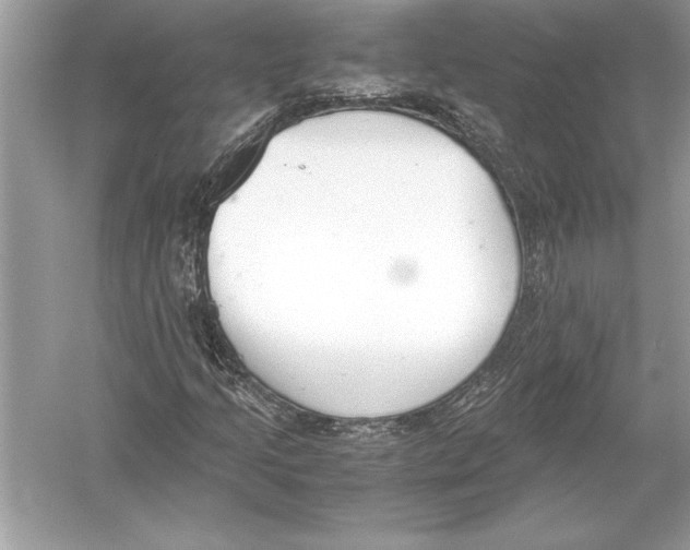 X0000051911205200507222059