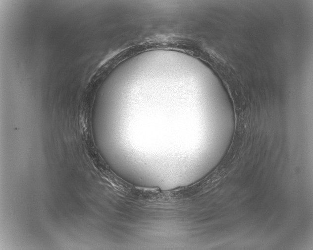 X0000051911206200507222059