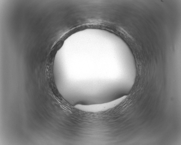 X0000051911208200507222059