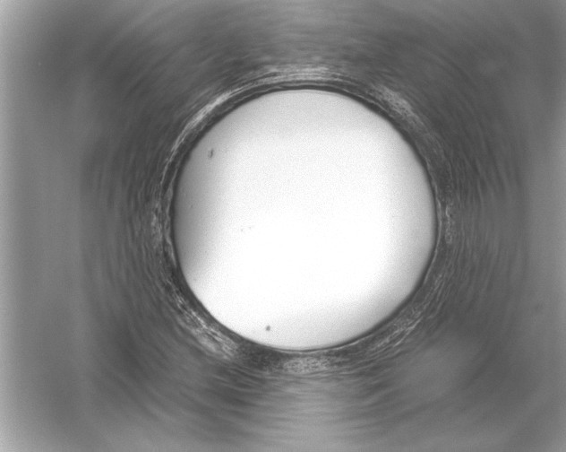 X0000051911212200507222059