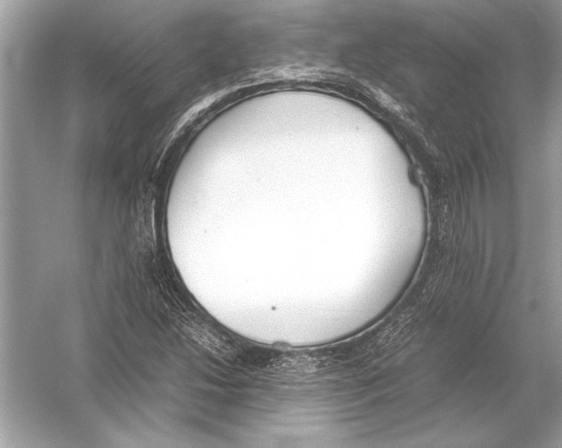 X0000051911214200507222059