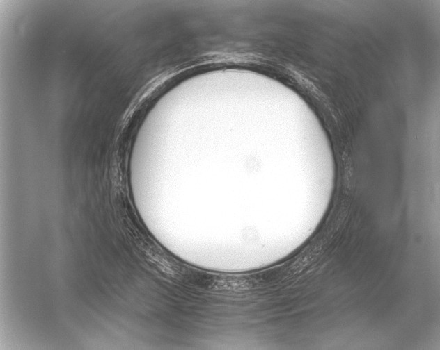 X0000051911215200507222059