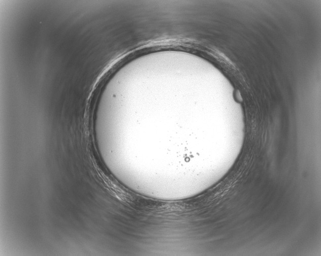 X0000051911216200507222059