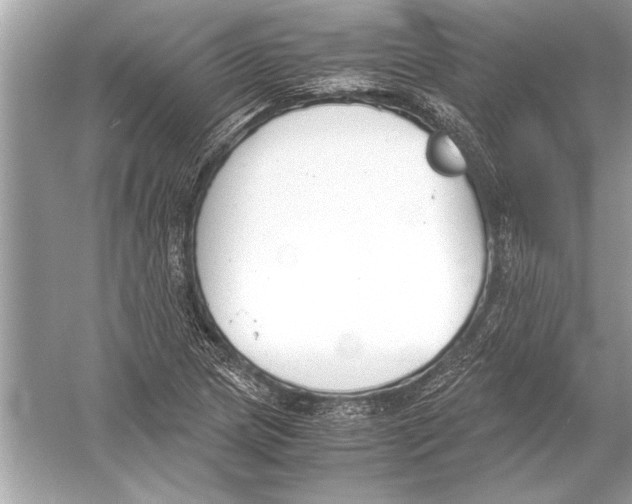 X0000051911217200507222059